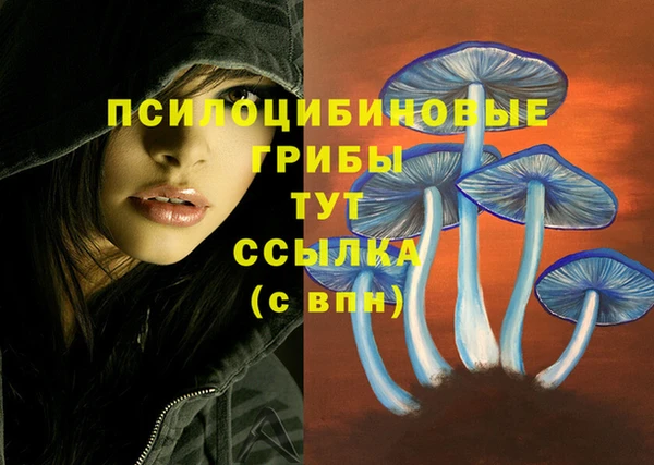 стафф Балахна
